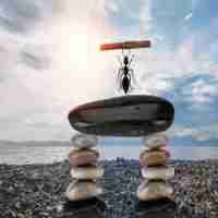 基​于﻿大‍数﻿据‌的‌精‌准​教‌研‍